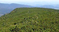 0538_TZ60_P1140534_cr