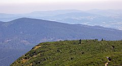 0541_TZ60_P1140537_cr