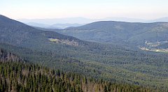 0575_TZ60_P1140557_cr