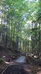 0607_TZ60_P1140572_cr