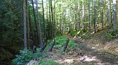 0615_TZ60_P1140576_cr