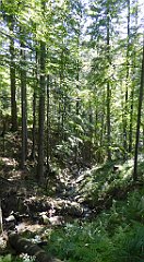 0638_TZ60_P1140580_cr