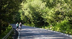 0647_TZ60_P1140586_cr