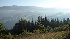 043_TZ60_P1140615_cr