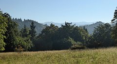 068_TZ60_P1140623_cr