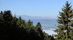 107_TZ60_P1140656_cr