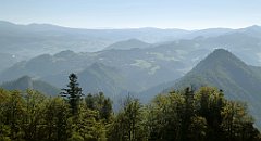 191_TZ60_P1140720_cr