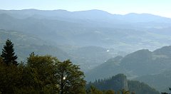 193_TZ60_P1140722_cr