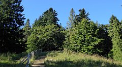 211_TZ60_P1140736_cr