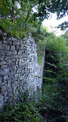 250_TZ60_P1140758_cr