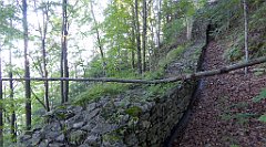 255_TZ60_P1140763_cr