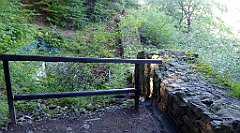 257_TZ60_P1140765_cr