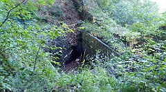 258_TZ60_P1140766_cr