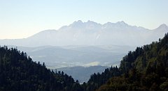 320_TZ60_P1140781a_cr