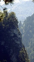 335_TZ60_P1140788_cr