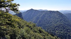 355_TZ60_P1140795_cr