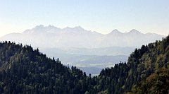 357_TZ60_P1140797_cr