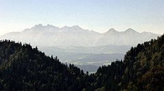 358_TZ60_P1140797a_cr