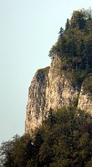 426_TZ60_P1140807_cr