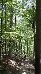 457_TZ60_P1140823_cr