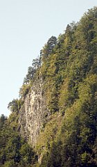 473_TZ60_P1140826_cr