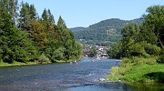 475_TZ60_P1140828_cr