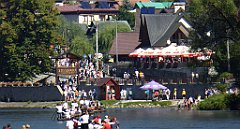 477_TZ60_P1140830_cr