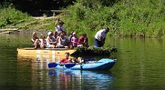 481_TZ60_P1140834_cr