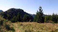 518_TZ60_P1140850_cr