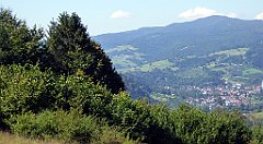 537_TZ60_P1140866_cr