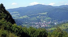 538_TZ60_P1140867_cr