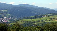 539_TZ60_P1140869_cr