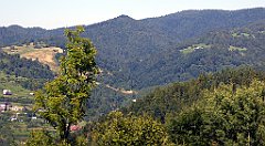 542_TZ60_P1140875_cr