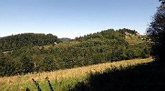 548_TZ60_P1140881_cr