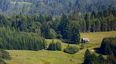 581_TZ60_P1140900_cr