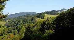 583_TZ60_P1140901_cr