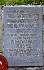 616_TZ60_P1140923_cr