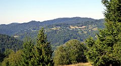 628_TZ60_P1140931_cr