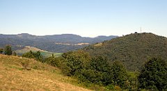 644_TZ60_P1140941_cr