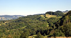 646_TZ60_P1140944_cr