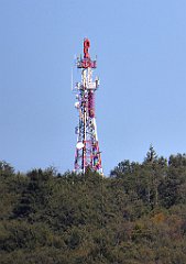 650_TZ60_P1140948_cr