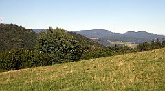 684_TZ60_P1140969_cr