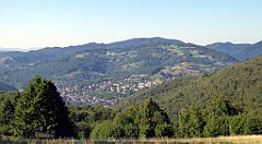 695_TZ60_P1140975_cr