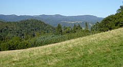 699_TZ60_P1140979_cr