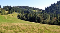 721_TZ60_P1140991_cr