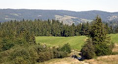 740_TZ60_P1140996_cr