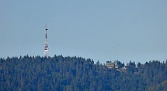 741_TZ60_P1140997_cr