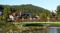 884_TZ60_P1150018_cr