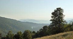 017_TZ60_P1150092_cr