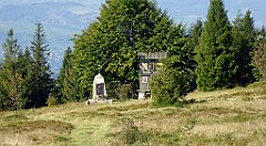 069_TZ60_P1150106_cr